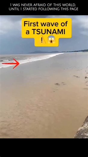 Wild blue territory | 🚨 If You See This — RUN. IMMEDIATELY. 🌊😱 The ocean doesn’t just vanish for no reason. This is the first deadly sign of a tsunami. 📉 Water... | Instagram