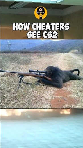 How Cheaters See CS2… or Maybe Just 3000 Elo