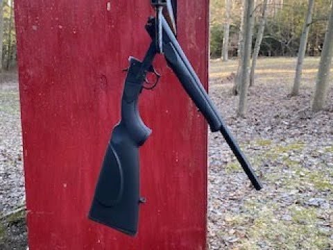 ATI Nomad Review and Range Time (The Cheapest Gun You Can Buy!)