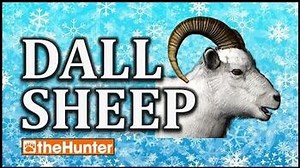 TheHunter Dall Sheep First Look
