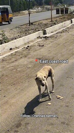 purijiko da dubakoor #humanity #happiness #shorts #fyp