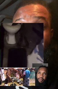 14K views · 67 reactions | A very big Snake inside a Toilet Closet. Always check ur toilet oo . #snake #trendingreels #viralbideos #fyb | OSAMA Reign | Facebook