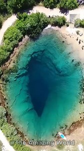 41K views · 1.8K reactions | Amazing Wonderful Nature  | The Amazing World | Facebook