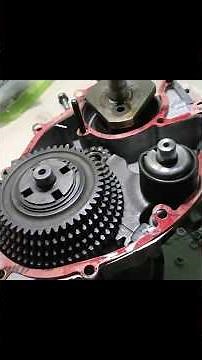 Vespa 50 Special [engine full restoration in 24h]