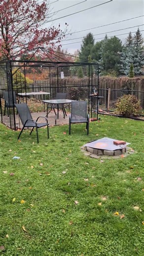 Backyard Fall walkthrough November 2025