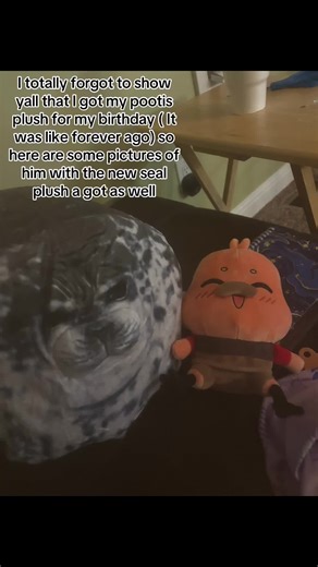 Pootis Plush Celebration - A Birthday Surprise!