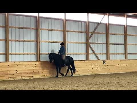 Working Equitation