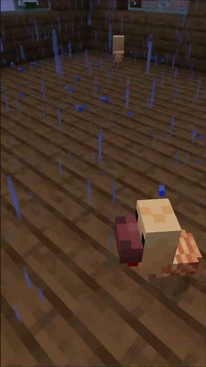 Our First Warm Biome Chickens in Minecraft