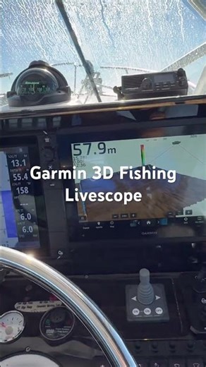 Garmin 1243 Livescope
