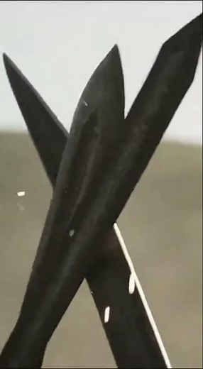 Battle of Cannae Cinematic Chaos Roman Army Collapse #history #movie