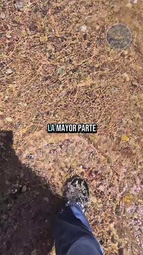 La Joya, Satevo: Un Paraíso en Chihuahua