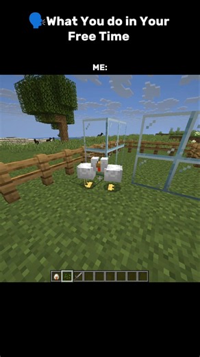 "Time Pass"#minecraft #relatable #usa