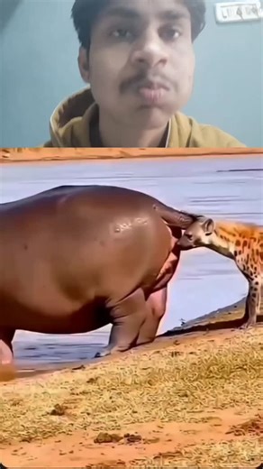 Nikhil comedy | #tweening | Instagram