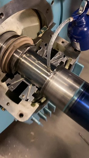 TikTok - Make Your Day