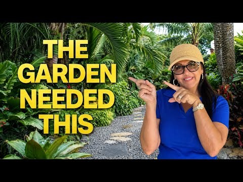 I Added 5 NEW Things to My Tropical Garden (Everything is CHANGING)