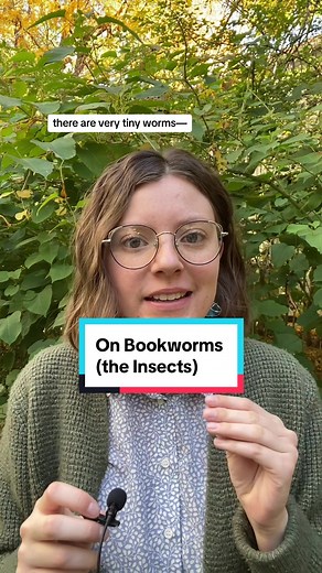 Some facts about real bookworms (as in, the insects). I’m by no means an expert but I’ve seen their handiwork up close n personal #bookchat #booktok #classicsbooktok #oldbooks