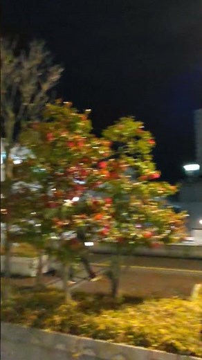 JR宇都宮駅西口 周辺の様子