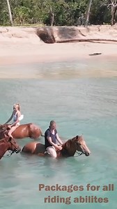 Need something to look forward to this winter? Plan a beach riding vacation now! 🌊 We have a selection of trips suitable for the seasoned equestrian or first time rider. For more info www.unicorntrails.com/beach . . . #ocean #beach #beachriding #caribbean #equestrian #horseriding #horsebackriding #adventure #equestriantravel #beachride #horseridingholidays | Unicorn Trails Horseriding Holidays Worldwide