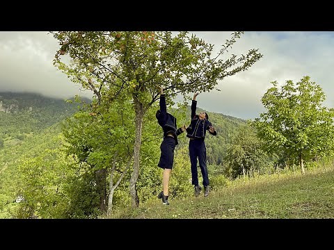 'Gondola': first trailer for latest from Veit Helmer