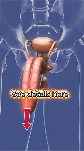 10 Early Signs and Symptoms Prostate Cancer