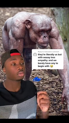 21K views · 933 reactions | Replying to @notavako The forbidden pre #prehistoric#nature#caveman#chimp | Mndiaya97 | Facebook