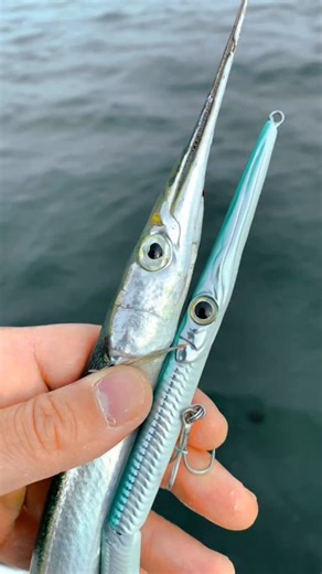 • 𝗦𝘁𝘆𝗹𝗼 𝗝𝗼𝗶𝗻𝘁𝗲𝗱 𝟮𝟱𝟱 𝒕𝒉𝒆 𝑶𝒓𝒊𝒈𝒊𝒏𝒂𝒍 𝑵𝒆𝒆𝒅𝒍𝒆𝒇𝒊𝒔𝒉 𝑺𝒘𝒊𝒎𝒃𝒂𝒊𝒕 #JackFinHiTech @jackfin_official #fishing #fishinglures #jackfinlures | Jack Fin - official