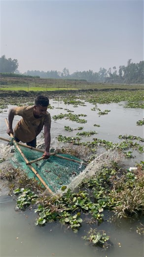 Amazing Hand Fishing in Still Water #ytshorts #shorts