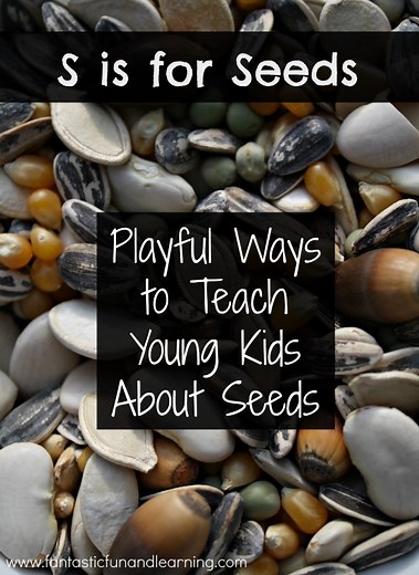 35 Seed Activities for Young Kids