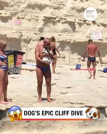 Dog performs cliff dive 😮 | Lessons Learned In Life