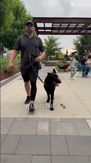 Elite Protection Dogs: Premium Family and Personal Protection Dogs!