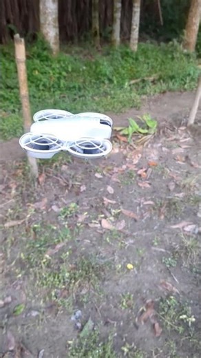 DJI Neo Drone Movement Test | Stabilization & Flight Performance Review