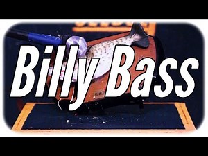 Sledgehammer vs Billy Bass in Slow Motion! - SLEDGE