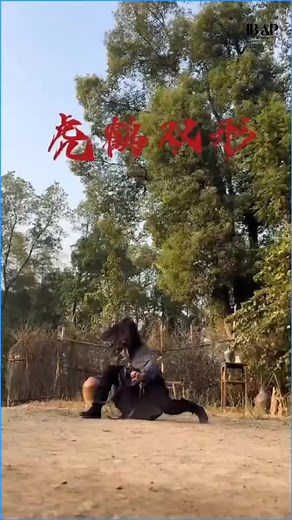 Bagian 18 || Cooking kung-fu #cooking #drachin | Ib Ap