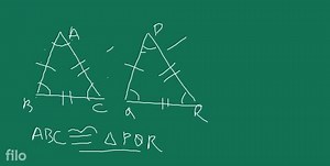 EXERCISE 6.1 Fill in the blanks using the correct word given in... | Filo