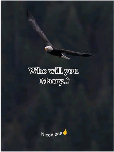 Who Will You Marry? Inspirational Quotes to Consider