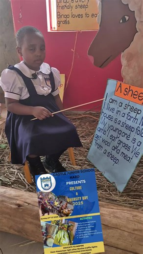 Castle Kindergarten and Daycare Overview