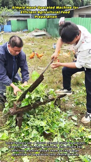 Simple Hand Operated Machine for Efficient Agricultural Feed Preparation