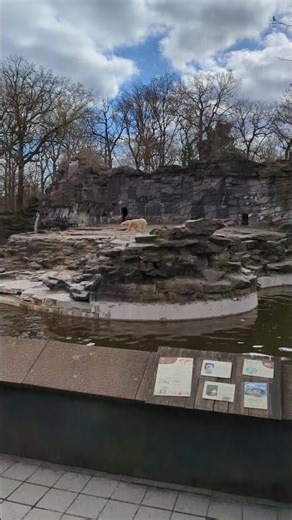 Tierpark Berlin 🐻‍❄️🐻‍❄️ Tonja und Hertha