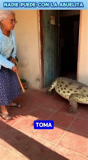 Crocodile arrives at her door and grandma faces him without fear 😱😂