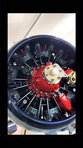 Round engine awesomeness - Murphy Moose #radial #aviation