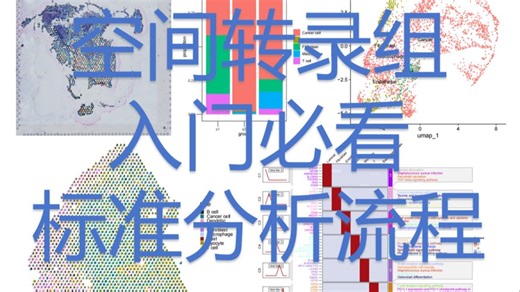 空间转录组/结合单细胞转录组/入门必看/标准分析流程/实战为主/保姆级教程/生物信息学/R语言/生信分析/单细胞/转录组