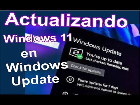Actualizar Windows 11 con Windows Update