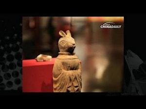 Rabbit relics on exhibition