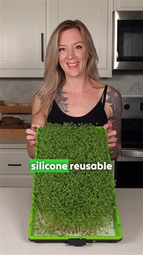 🌱 Want to know how to grow Spicy Oriental Mustard Microgreens without soil? This reel gives a quick look at how we grow them using our Silicone Reusable Grow Medium, but the full 12-minute YouTube video walks through the entire process step by step — from setup to harvest, plus how we clean and sanitize the medium so it’s ready to reuse again 🥳 In the full grow, we use a 10x20 tray setup with a mesh tray over a no-hole tray, seed with 20g of Spicy Oriental Mustard seeds, and mist to help the s