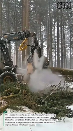 Extreme Forestry Harvester — Cutting & Processing Trees in Seconds!