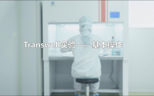 Transwell实验基本操作及注意事项来咯！