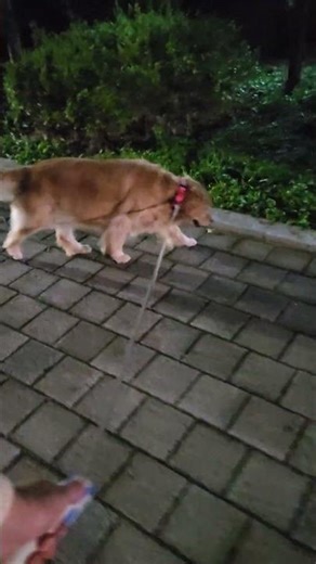 Every Shadow Meets Light 🌑➡️🌞