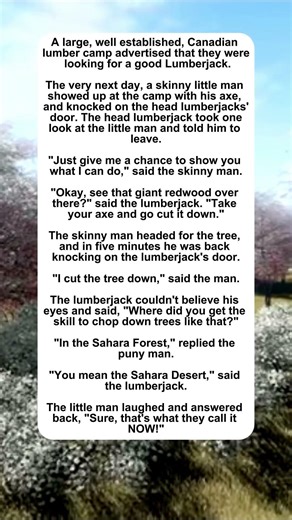 Sahara Forest #lumberjack #interview #funny #desert #comedy #jokes #humor #humor #joke #laugh #mem