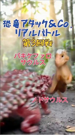 【恐竜アタックアンドコ】リアル恐竜バトル ノドサウルス VS パキケファロサウルス