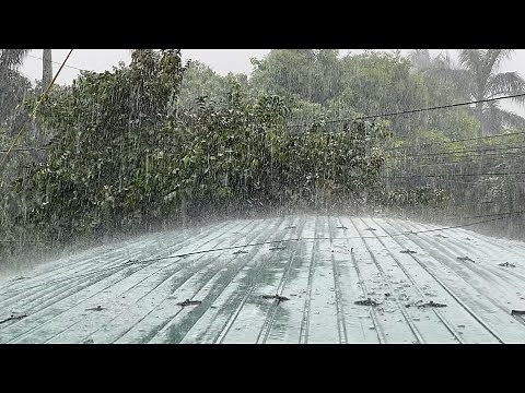 Sleep Easily with Terrible Rain and Heavy Thunderstorm on Tin Roof - Rain Sounds for Sleeping